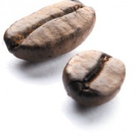 /album/rubicon/fdsfdgs-jpg/